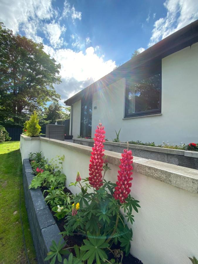 Aurora Suite B&B Coupar Angus エクステリア 写真