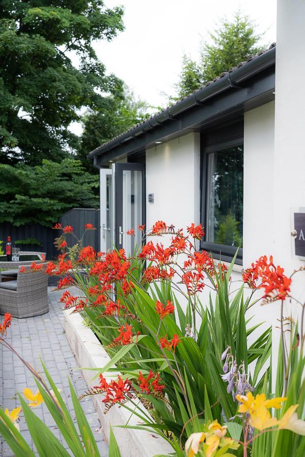 Aurora Suite B&B Coupar Angus エクステリア 写真